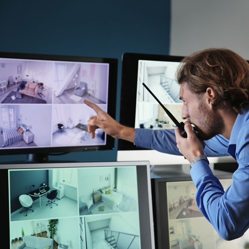 monitoring-telesurveillance Flexile Single Product About